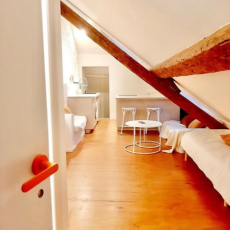 Charmant Studio Rue Pietonne Thonon-les-Bains Luaran gambar